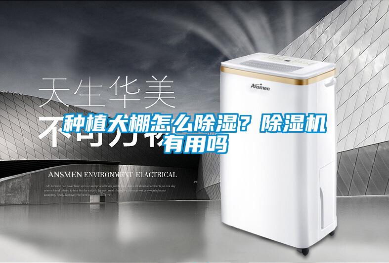 種植大棚怎么除濕？除濕機(jī)有用嗎