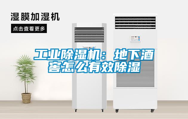 工業(yè)除濕機(jī)：地下酒窖怎么有效除濕