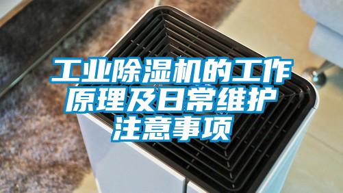 工業(yè)除濕機(jī)的工作原理及日常維護(hù)注意事項