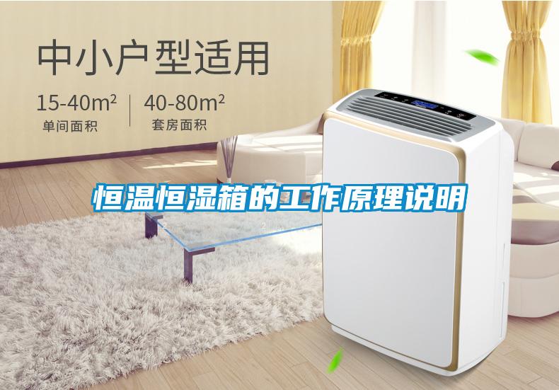 恒溫恒濕箱的工作原理說(shuō)明