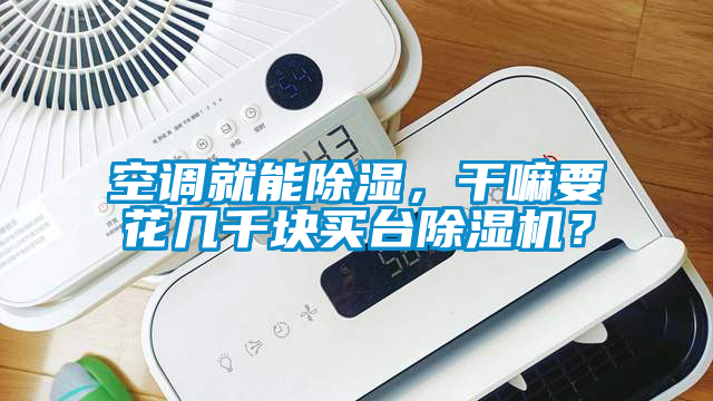 空調(diào)就能除濕，干嘛要花幾千塊買臺除濕機？