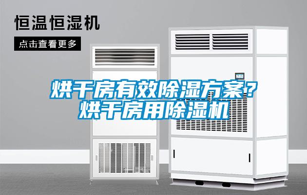 烘干房有效除濕方案？烘干房用除濕機(jī)