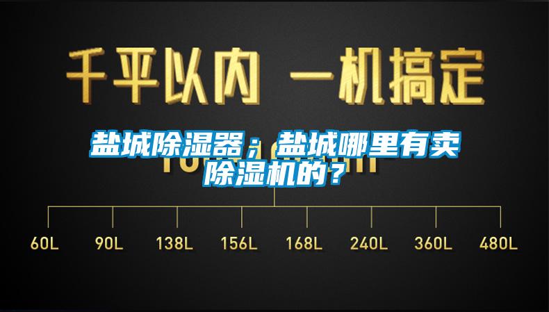 鹽城除濕器；鹽城哪里有賣除濕機(jī)的？