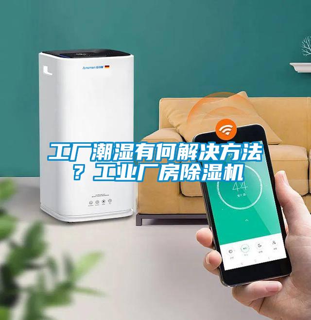 工廠潮濕有何解決方法？工業(yè)廠房除濕機(jī)