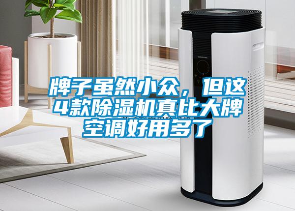 牌子雖然小眾，但這4款除濕機(jī)真比大牌空調(diào)好用多了