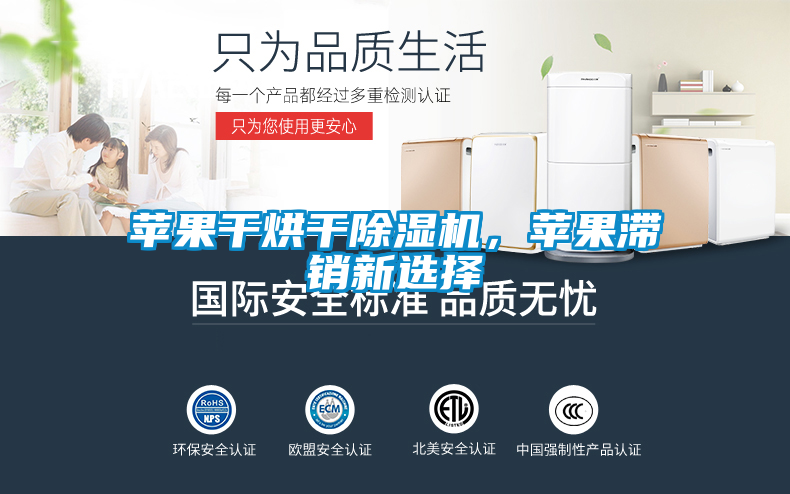 蘋果干烘干除濕機(jī)，蘋果滯銷新選擇