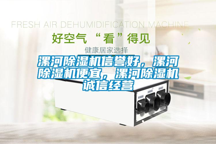 漯河除濕機信譽好，漯河除濕機便宜，漯河除濕機誠信經(jīng)營