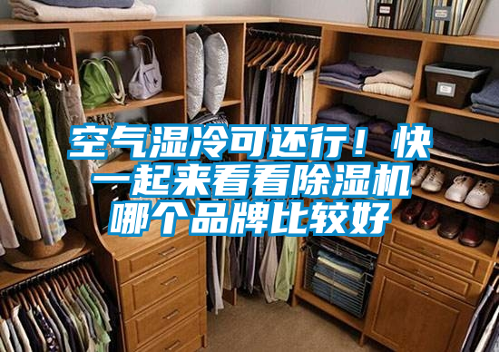 空氣濕冷可還行！快一起來看看除濕機(jī)哪個(gè)品牌比較好