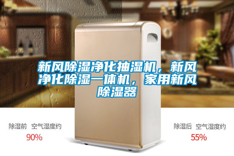 新風除濕凈化抽濕機，新風凈化除濕一體機，家用新風除濕器