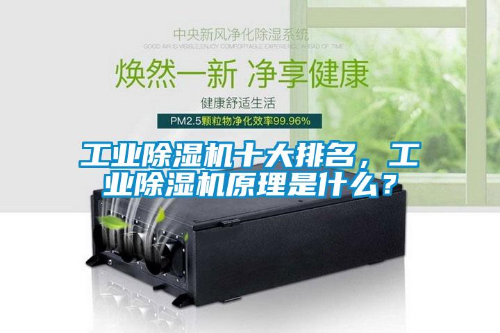 工業(yè)除濕機(jī)十大排名，工業(yè)除濕機(jī)原理是什么？