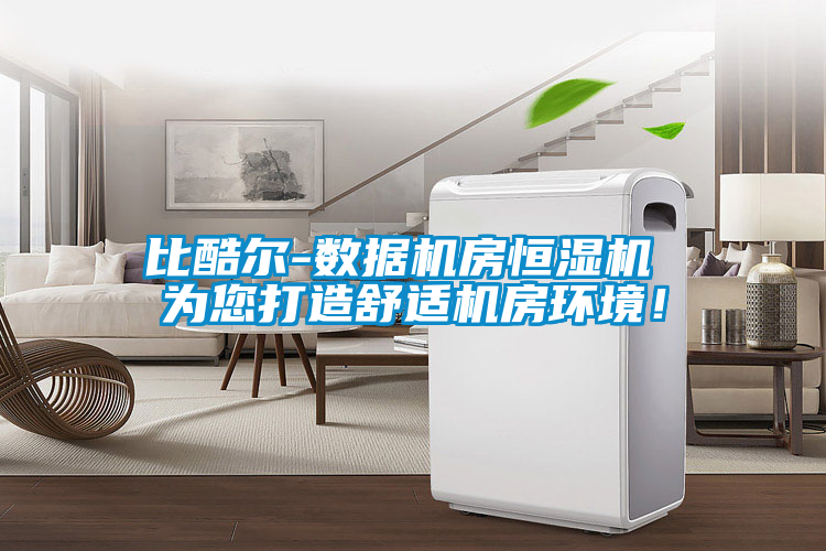 比酷爾-數(shù)據(jù)機(jī)房恒濕機(jī) 為您打造舒適機(jī)房環(huán)境！