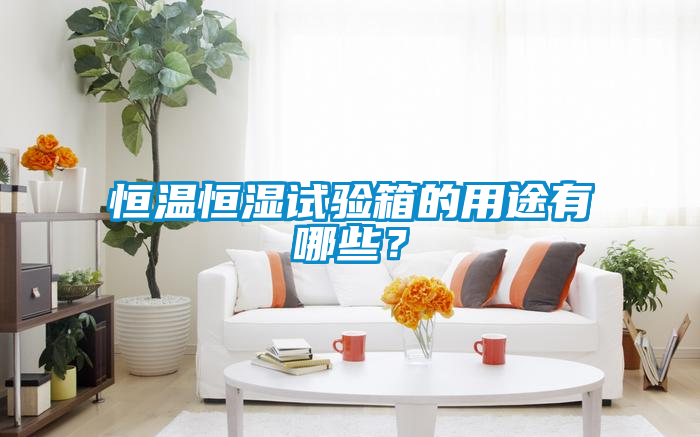 恒溫恒濕試驗(yàn)箱的用途有哪些？