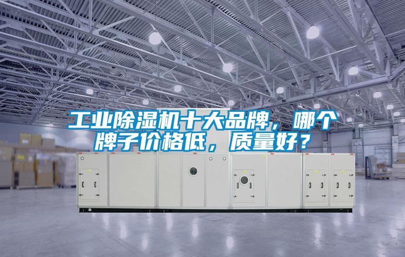工業(yè)除濕機(jī)十大品牌，哪個牌子價格低，質(zhì)量好？