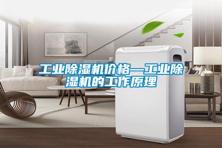 工業(yè)除濕機(jī)價(jià)格—工業(yè)除濕機(jī)的工作原理