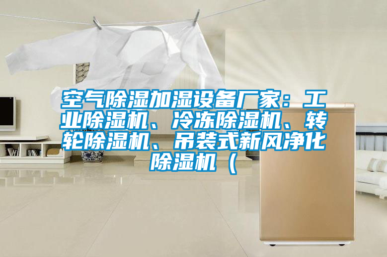 空氣除濕加濕設備廠家：工業(yè)除濕機、冷凍除濕機、轉輪除濕機、吊裝式新風凈化除濕機（