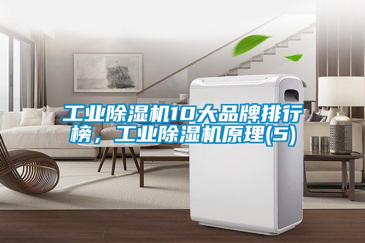 工業(yè)除濕機(jī)10大品牌排行榜，工業(yè)除濕機(jī)原理(5)