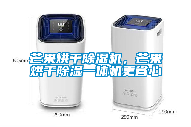 芒果烘干除濕機，芒果烘干除濕一體機更省心