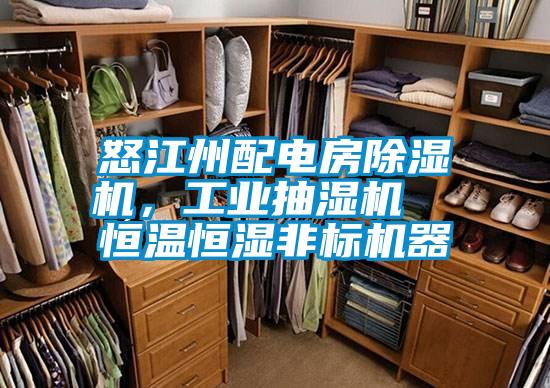 怒江州配電房除濕機(jī)，工業(yè)抽濕機(jī)  恒溫恒濕非標(biāo)機(jī)器