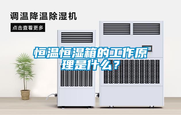 恒溫恒濕箱的工作原理是什么？