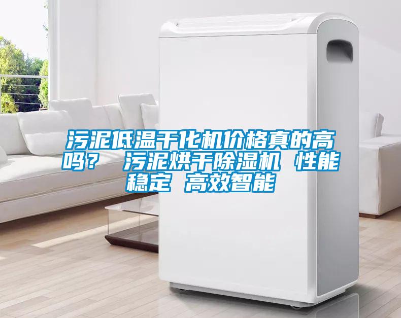 污泥低溫干化機(jī)價格真的高嗎？ 污泥烘干除濕機(jī) 性能穩(wěn)定 高效智能