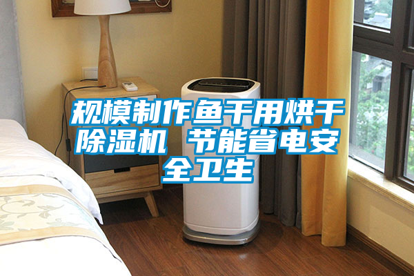 規(guī)模制作魚(yú)干用烘干除濕機(jī) 節(jié)能省電安全衛(wèi)生