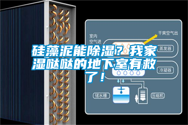 硅藻泥能除濕？我家濕噠噠的地下室有救了！