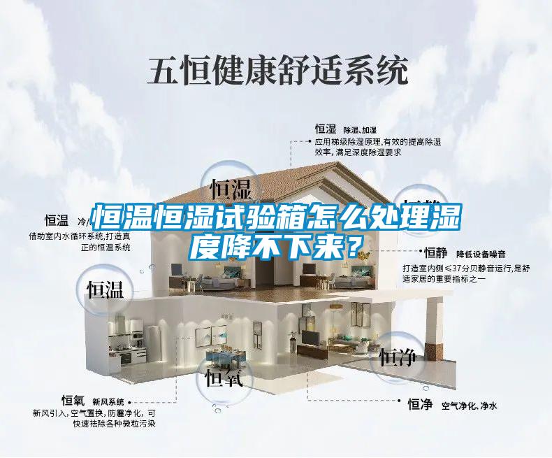 恒溫恒濕試驗箱怎么處理濕度降不下來？