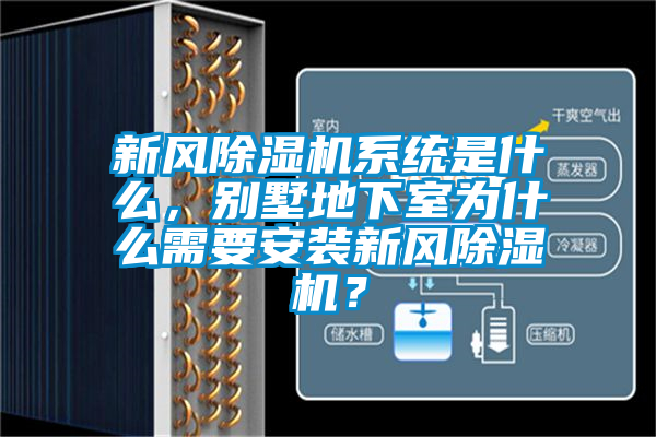 新風(fēng)除濕機系統(tǒng)是什么，別墅地下室為什么需要安裝新風(fēng)除濕機？