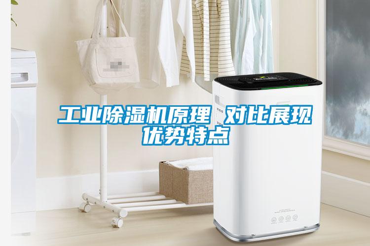 工業(yè)除濕機(jī)原理 對(duì)比展現(xiàn)優(yōu)勢特點(diǎn)