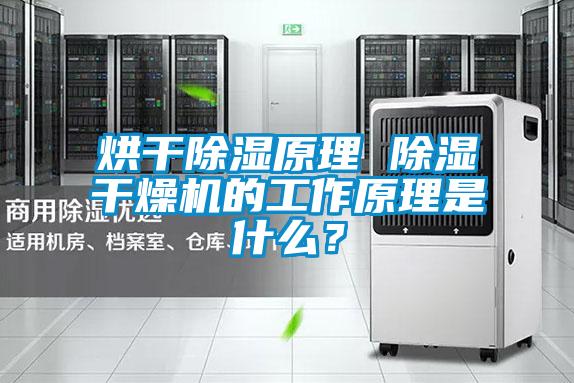烘干除濕原理 除濕干燥機的工作原理是什么？