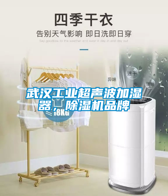 武漢工業(yè)超聲波加濕器，除濕機(jī)品牌
