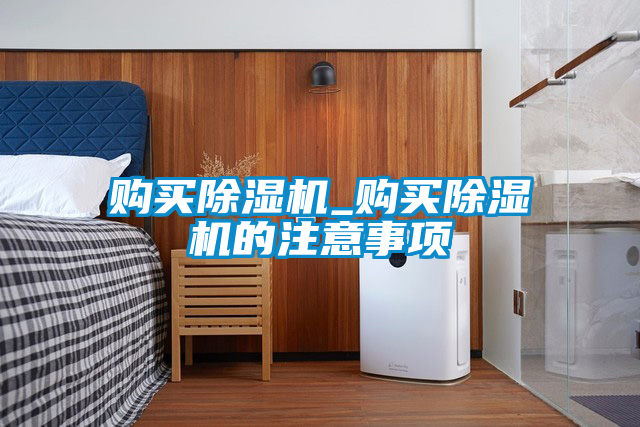 購(gòu)買(mǎi)除濕機(jī)_購(gòu)買(mǎi)除濕機(jī)的注意事項(xiàng)