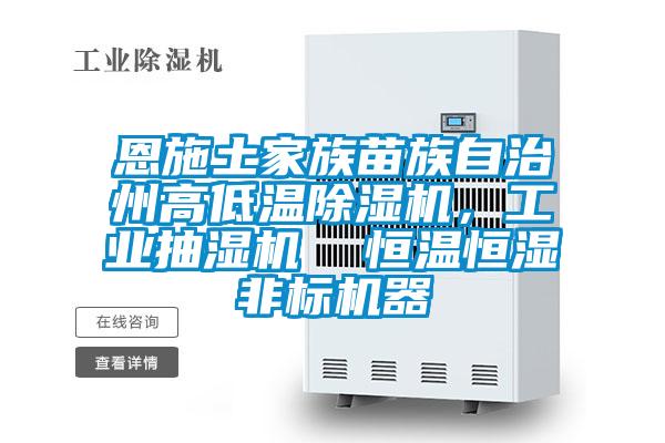 恩施土家族苗族自治州高低溫除濕機(jī)，工業(yè)抽濕機(jī)  恒溫恒濕非標(biāo)機(jī)器