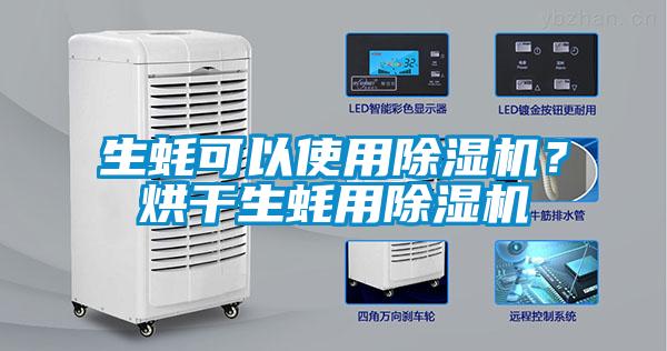 生蠔可以使用除濕機？烘干生蠔用除濕機