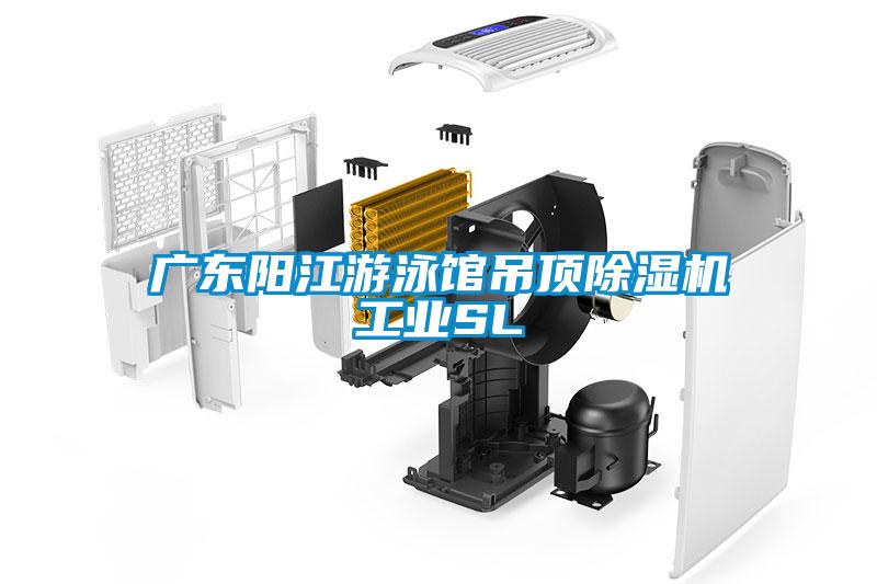 廣東陽江游泳館吊頂除濕機工業(yè)SL