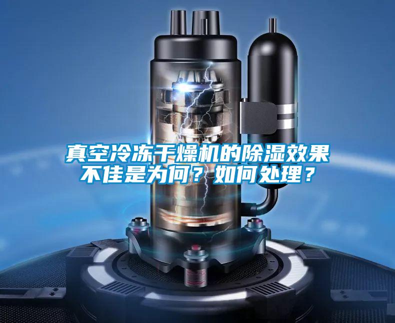 真空冷凍干燥機(jī)的除濕效果不佳是為何？如何處理？
