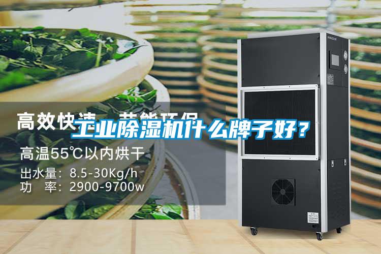 工業(yè)除濕機(jī)什么牌子好？