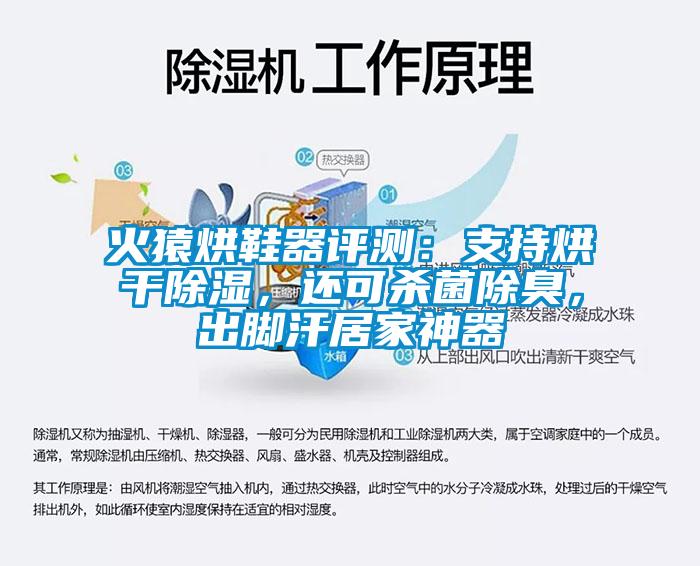 火猿烘鞋器評測：支持烘干除濕，還可殺菌除臭，出腳汗居家神器
