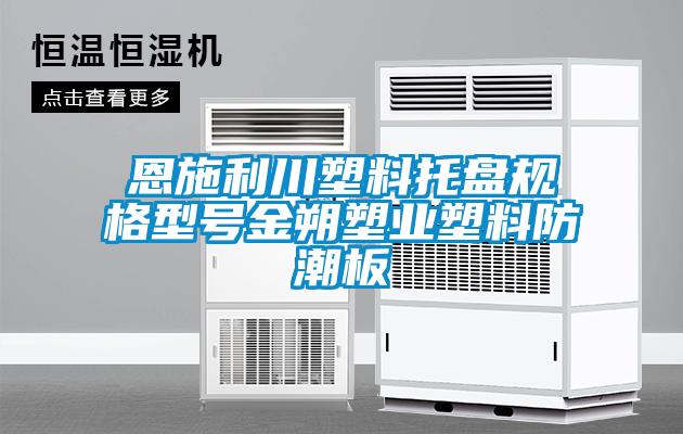 恩施利川塑料托盤規(guī)格型號(hào)金朔塑業(yè)塑料防潮板