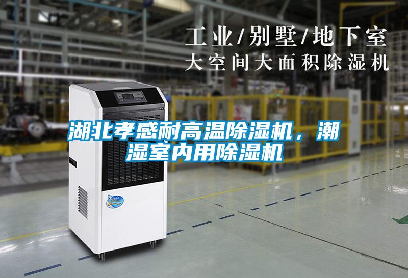 湖北孝感耐高溫除濕機，潮濕室內(nèi)用除濕機