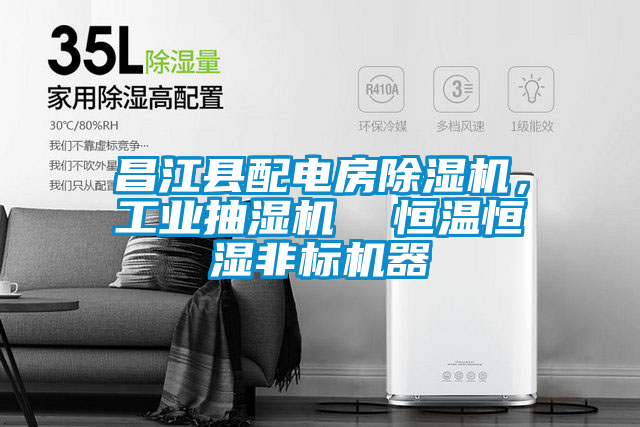 昌江縣配電房除濕機，工業(yè)抽濕機  恒溫恒濕非標機器