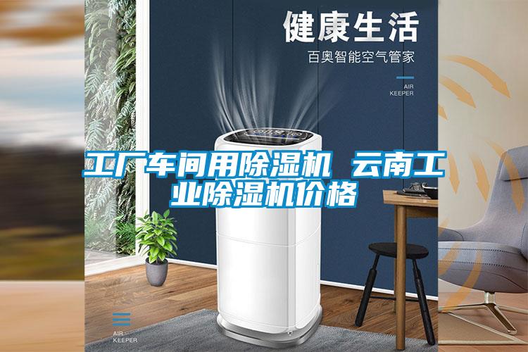 工廠車(chē)間用除濕機(jī) 云南工業(yè)除濕機(jī)價(jià)格