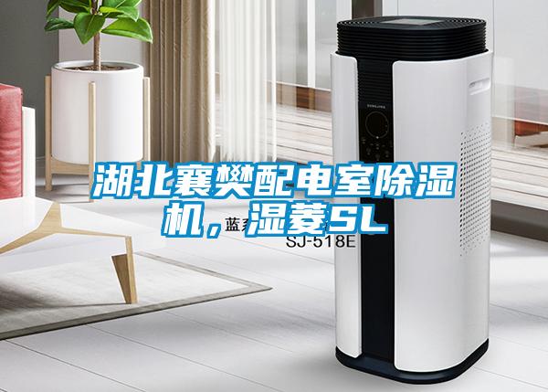 湖北襄樊配電室除濕機(jī)，濕菱SL