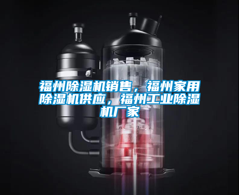 福州除濕機銷售，福州家用除濕機供應(yīng)，福州工業(yè)除濕機廠家