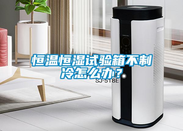 恒溫恒濕試驗(yàn)箱不制冷怎么辦？