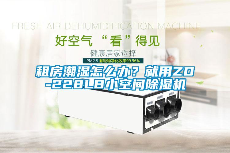 租房潮濕怎么辦？就用ZD-228LB小空間除濕機