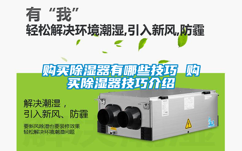 購(gòu)買(mǎi)除濕器有哪些技巧 購(gòu)買(mǎi)除濕器技巧介紹