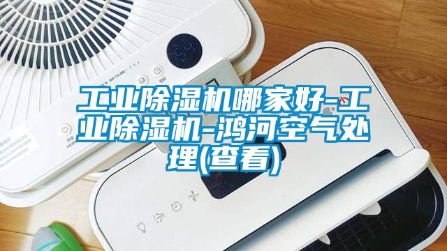 工業(yè)除濕機哪家好-工業(yè)除濕機-鴻河空氣處理(查看)