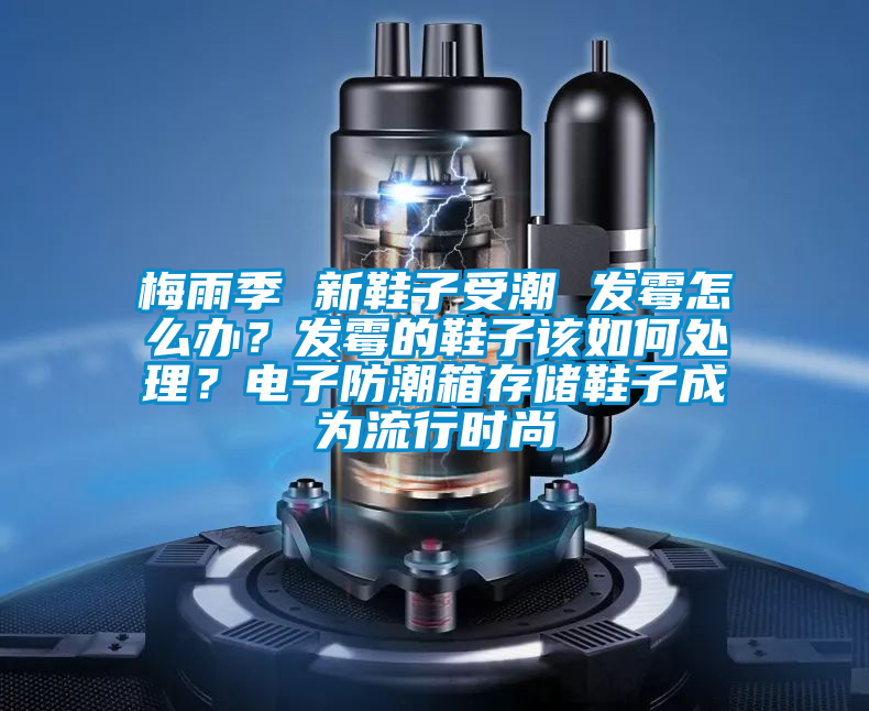 梅雨季 新鞋子受潮 發(fā)霉怎么辦？發(fā)霉的鞋子該如何處理？電子防潮箱存儲(chǔ)鞋子成為流行時(shí)尚