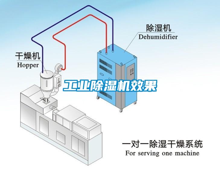 工業(yè)除濕機效果